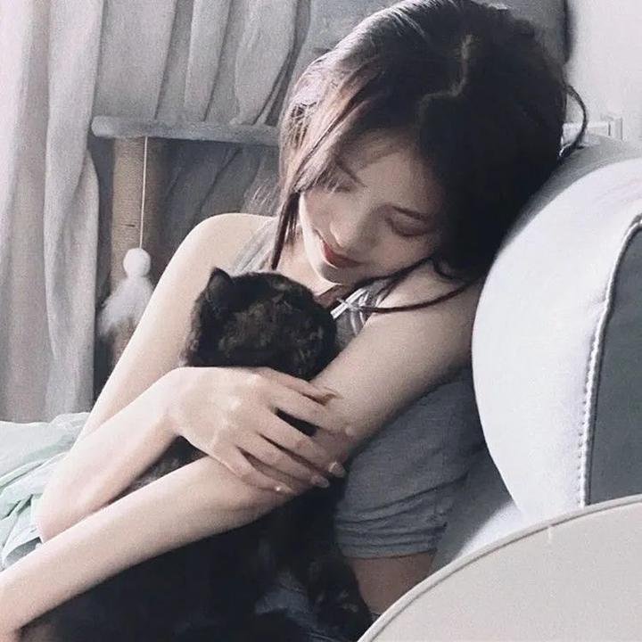 逐梦美声黄玫瑰
